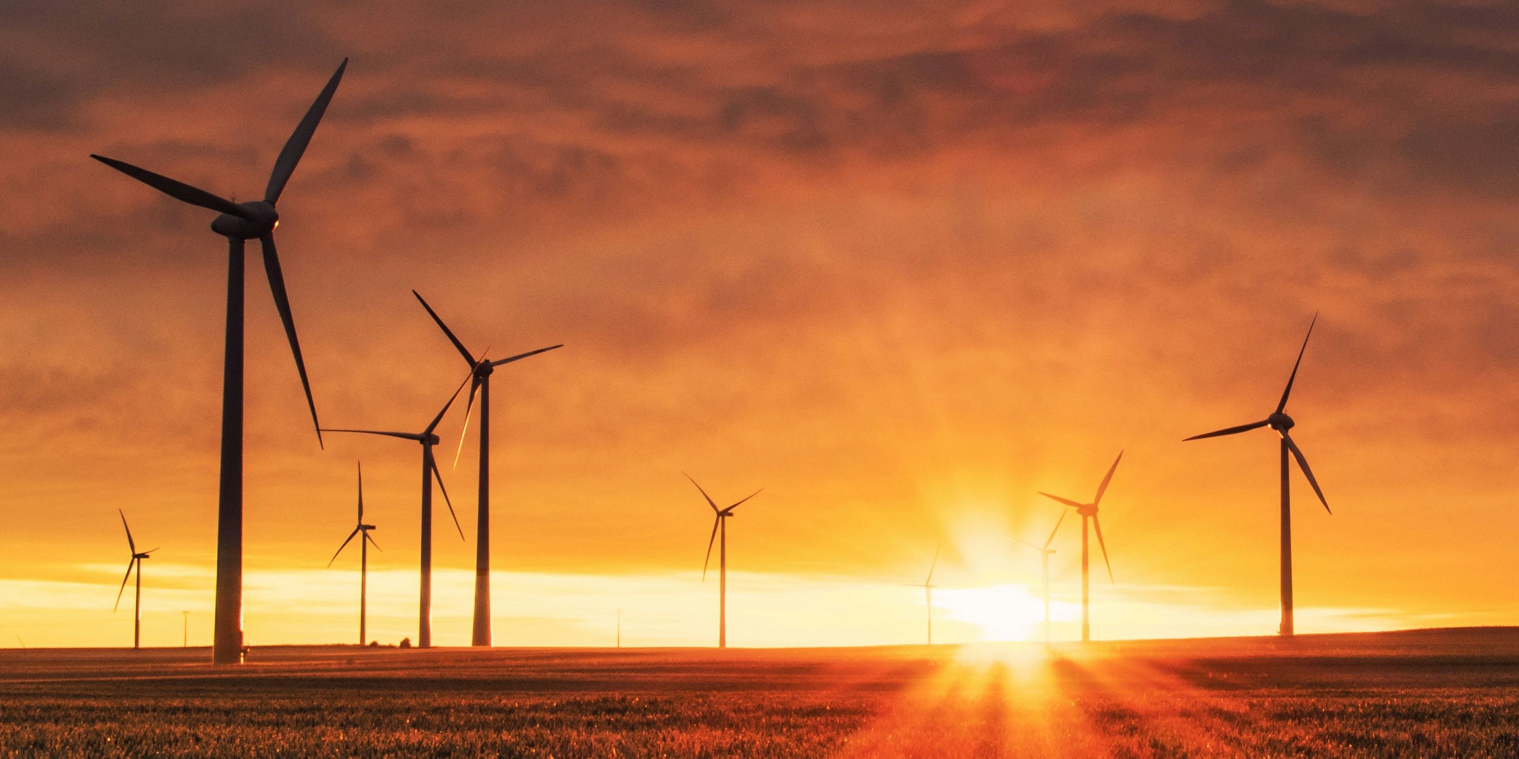 Designing A Climate-Positive Energy Retail Business for Australia's Largest Telco