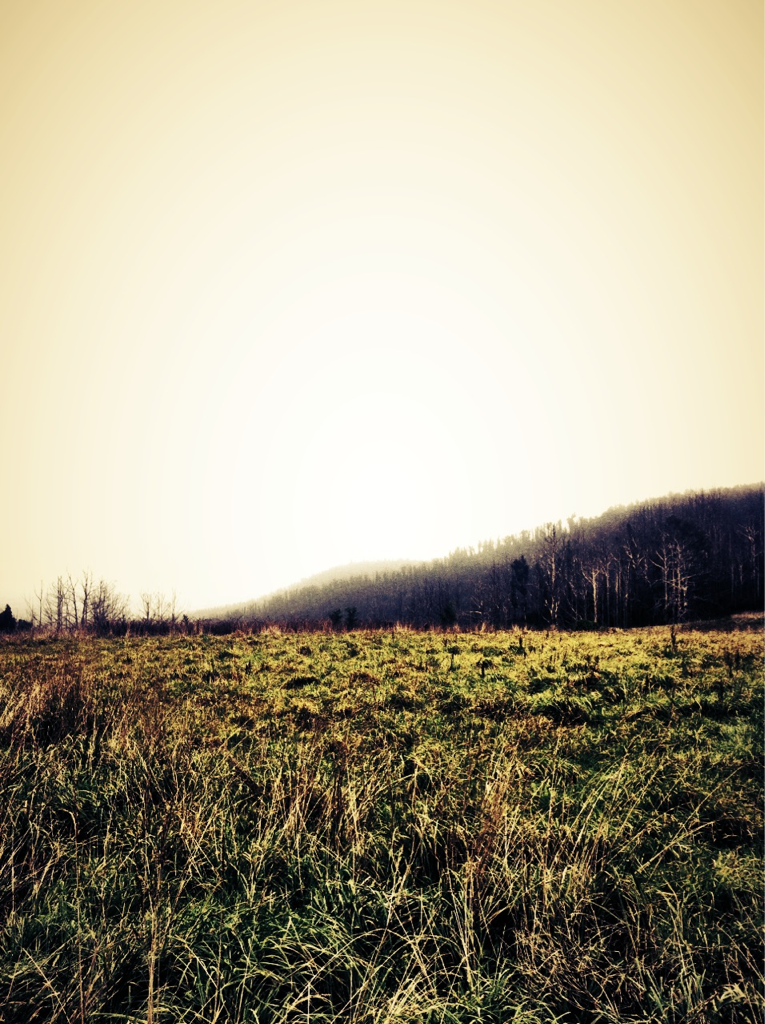 Kinglake